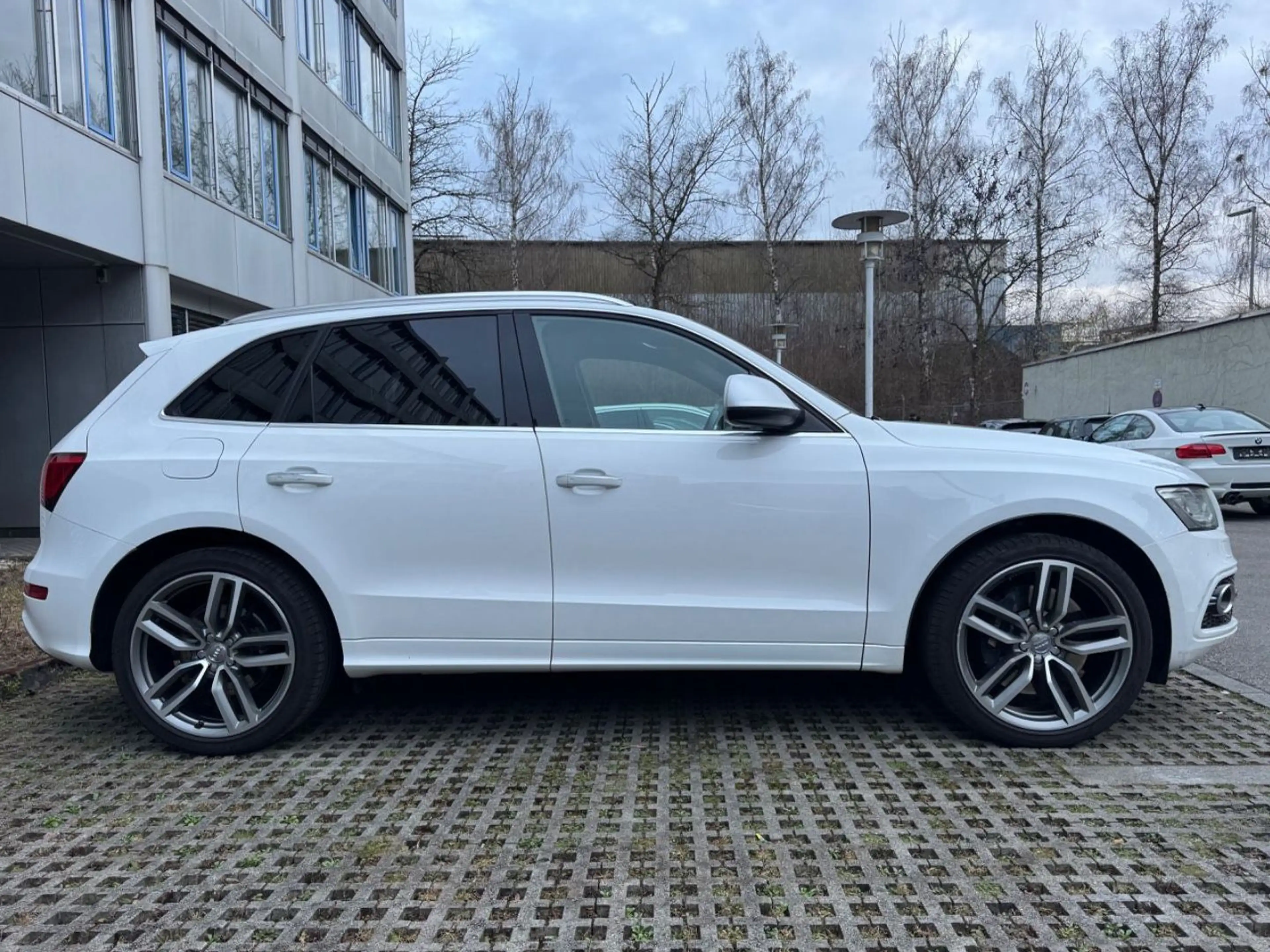 Audi SQ5 3.0 TDI quattro*Bang&Oulfsen*3x S-Line*LED* — photo 3