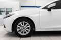 Mazda 3 3ª serie Mazda3 1.5 Skyactiv-G Evolve Bianco - thumbnail 7