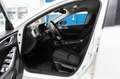 Mazda 3 3ª serie Mazda3 1.5 Skyactiv-G Evolve Blanc - thumbnail 21