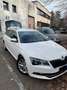 Skoda Superb Wagon 2.0 tdi Executive 190cv dsg my17 Bianco - thumbnail 1