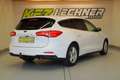 Ford Focus Turnier 1.5 EcoBl. "AHK*NAVI*R-KAM*LED" Weiß - thumbnail 4