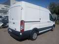 Ford Transit FT 350 L2 Van Trend 130 Blanco - thumbnail 6