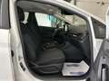 Ford Fiesta 1.0 EcoBoost Trend 100 Blanco - thumbnail 24
