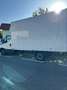 Iveco Daily Daily Turbo 40-12 C 3310" Weiß - thumbnail 3