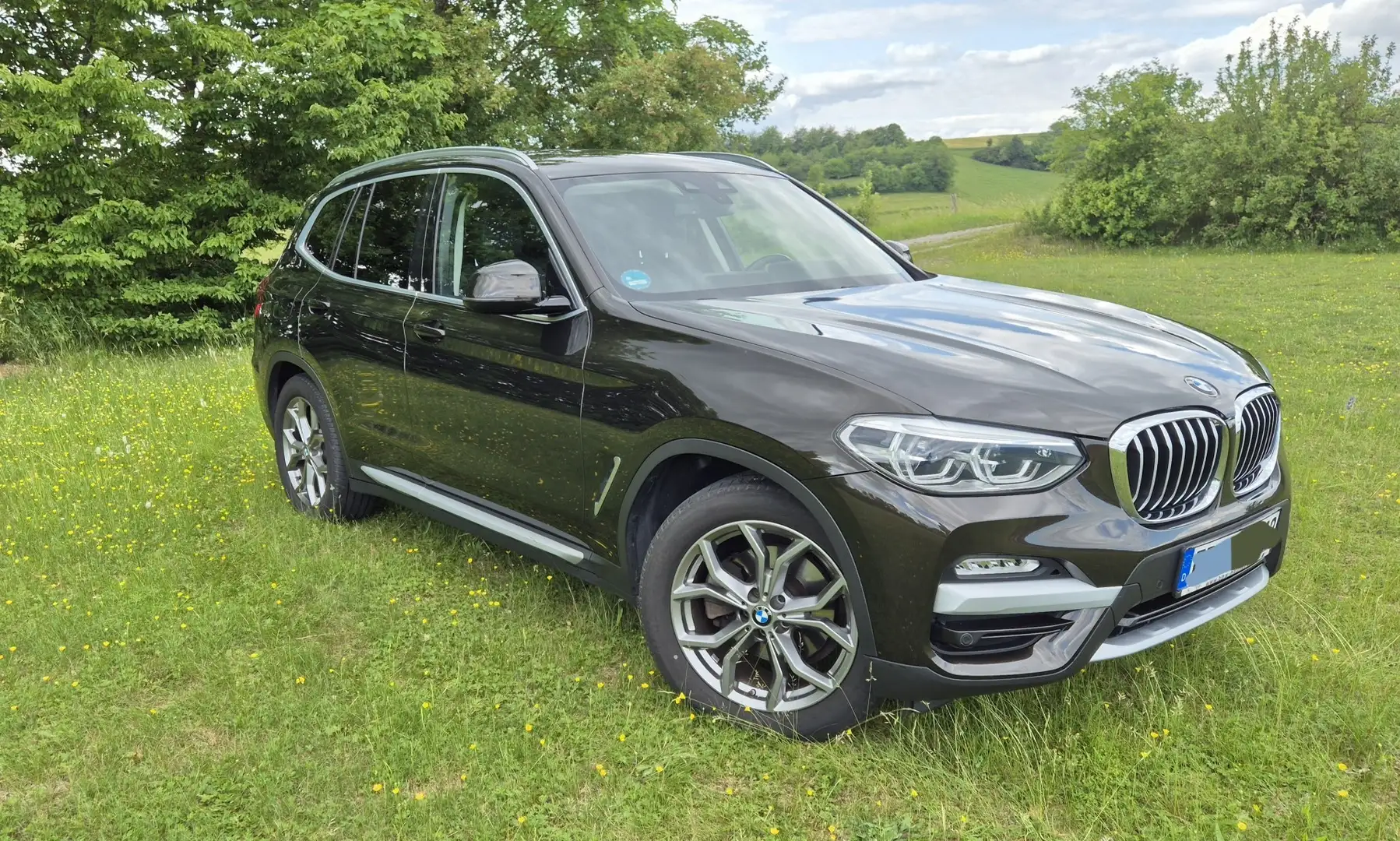 BMW X3 xDrive 20 d xLine Brown - 2