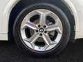 BMW X2 sDrive20d M Sport|AHK|Head-Up|Harman/Kardon Weiß - thumbnail 5