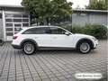 Audi A4 allroad A4 allroad 40 TDI qu. S tronic StdHzg/Virtual/Na Blanc - thumbnail 6