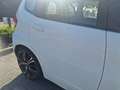 Honda Jazz Jazz 1.4 i-VTEC Exclusive - thumbnail 6