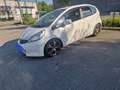 Honda Jazz Jazz 1.4 i-VTEC Exclusive - thumbnail 22