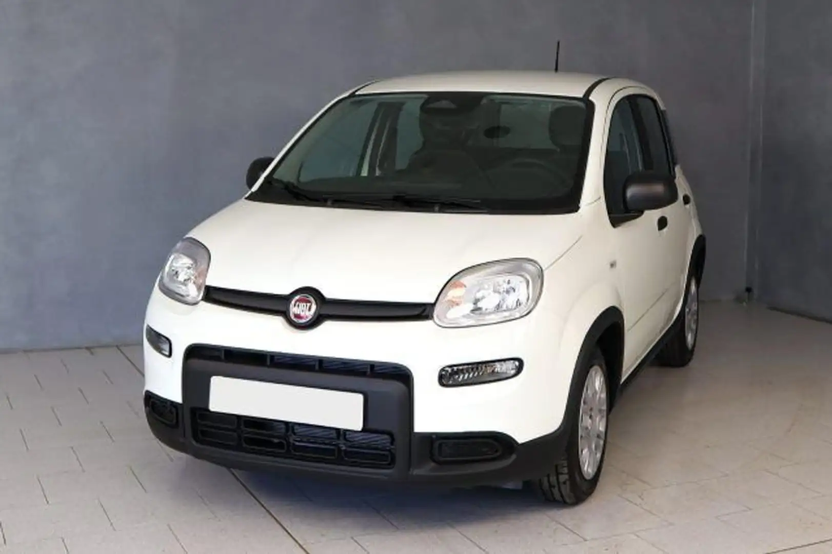 Fiat Panda 1.0 FireFly S&S Hybrid Bianco - 2