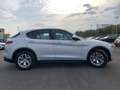 Alfa Romeo Stelvio STELVIO 2.2 T Diesel 190CV Business AT8 Q4 2021 Bianco - thumbnail 5