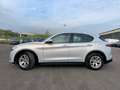 Alfa Romeo Stelvio STELVIO 2.2 T Diesel 190CV Business AT8 Q4 2021 Bianco - thumbnail 2