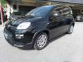 Fiat Panda 1.0 Hybrid - INCENTIVO - NO OBBLIGO FINANZIARIO Nero - thumbnail 13