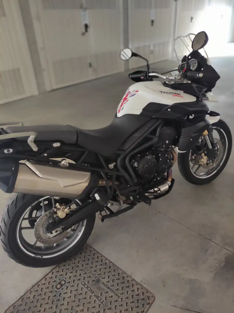 Triumph Tiger 800 ABS Biały - 1