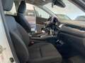 Honda HR-V ELEGANCE NAVI ADAS 1.6 i-DTEC UNICO PR. Blanc - thumbnail 13