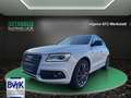Audi SQ5 3.0 TDI Quattro~ B&O~R-Kamera~LED~SHZ~ALU~XENON~DS Blanco - thumbnail 1