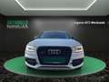 Audi SQ5 3.0 TDI Quattro~ B&O~R-Kamera~LED~SHZ~ALU~XENON~DS Blanco - thumbnail 3