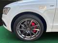 Audi SQ5 3.0 TDI Quattro~ B&O~R-Kamera~LED~SHZ~ALU~XENON~DS Blanco - thumbnail 20