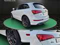 Audi SQ5 3.0 TDI Quattro~ B&O~R-Kamera~LED~SHZ~ALU~XENON~DS Blanco - thumbnail 8