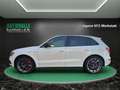 Audi SQ5 3.0 TDI Quattro~ B&O~R-Kamera~LED~SHZ~ALU~XENON~DS Blanco - thumbnail 9