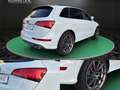 Audi SQ5 3.0 TDI Quattro~ B&O~R-Kamera~LED~SHZ~ALU~XENON~DS Blanco - thumbnail 6
