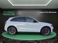 Audi SQ5 3.0 TDI Quattro~ B&O~R-Kamera~LED~SHZ~ALU~XENON~DS Blanco - thumbnail 5