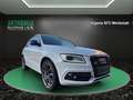 Audi SQ5 3.0 TDI Quattro~ B&O~R-Kamera~LED~SHZ~ALU~XENON~DS Blanco - thumbnail 4