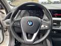 BMW 118 i Advantage LED SpurAss PDC Wit - thumbnail 11
