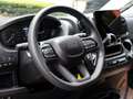 Fiat Ducato 140AT8 Multijet L3H3 verblecht Gris - thumbnail 8