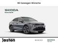 Skoda Enyaq 60 Coupe Loft AHK Plus Transport 20''-LM Grau - thumbnail 1