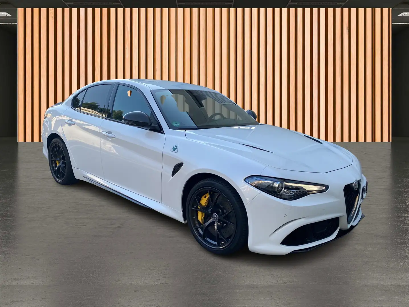 Alfa Romeo Giulia 2.9 V6 Bi Turbo Quadrifoglio*Carbon* Weiß - 2