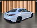 Alfa Romeo Giulia 2.9 V6 Bi Turbo Quadrifoglio*Carbon* Weiß - thumbnail 13
