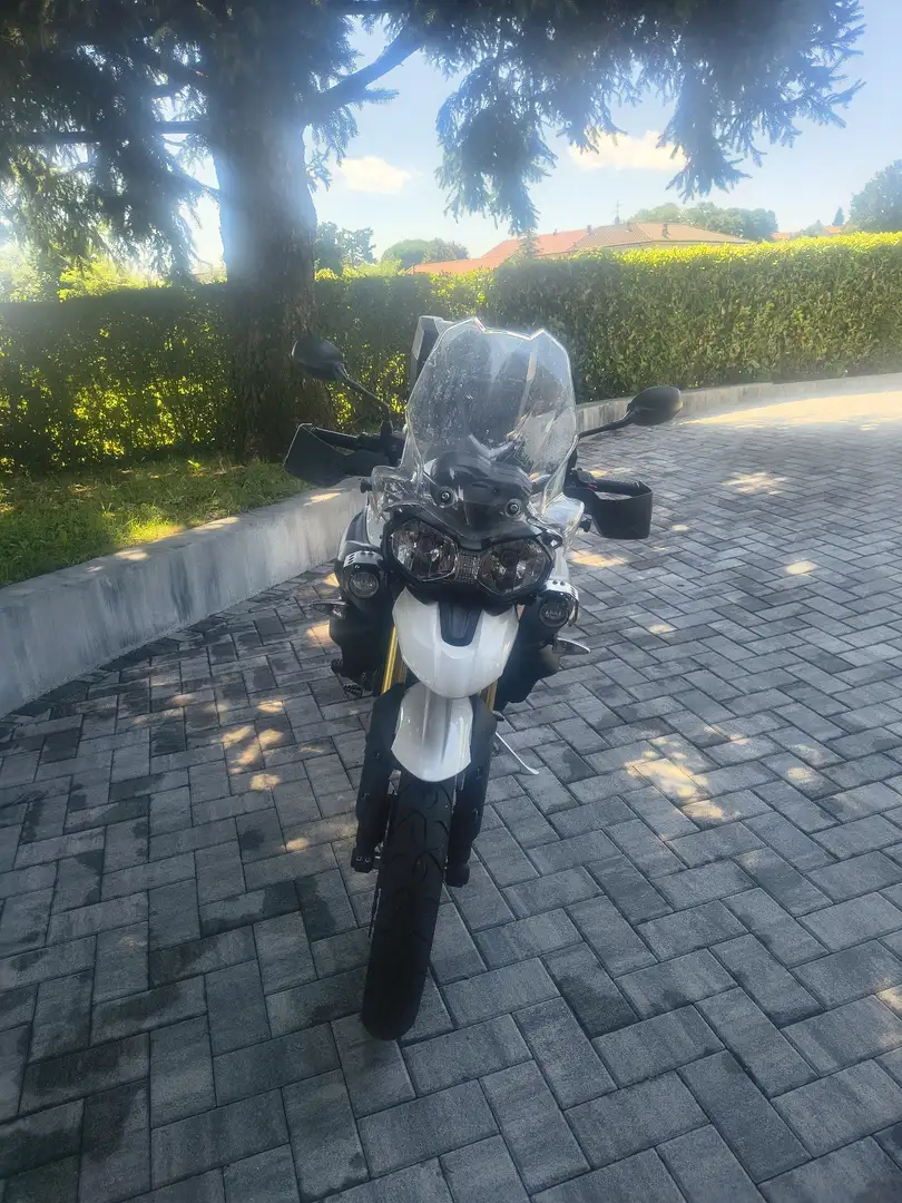 Triumph Tiger 800 Bianco - 1