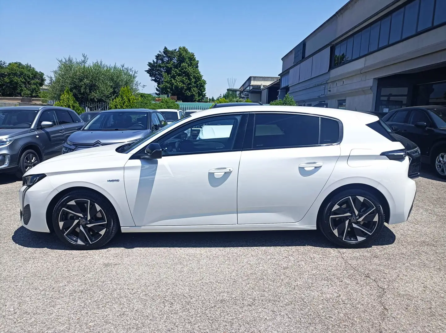 Peugeot 308 PEUGEOT 308 Plug-in Hybrid 180 e-EAT8 GT Bianco - 2