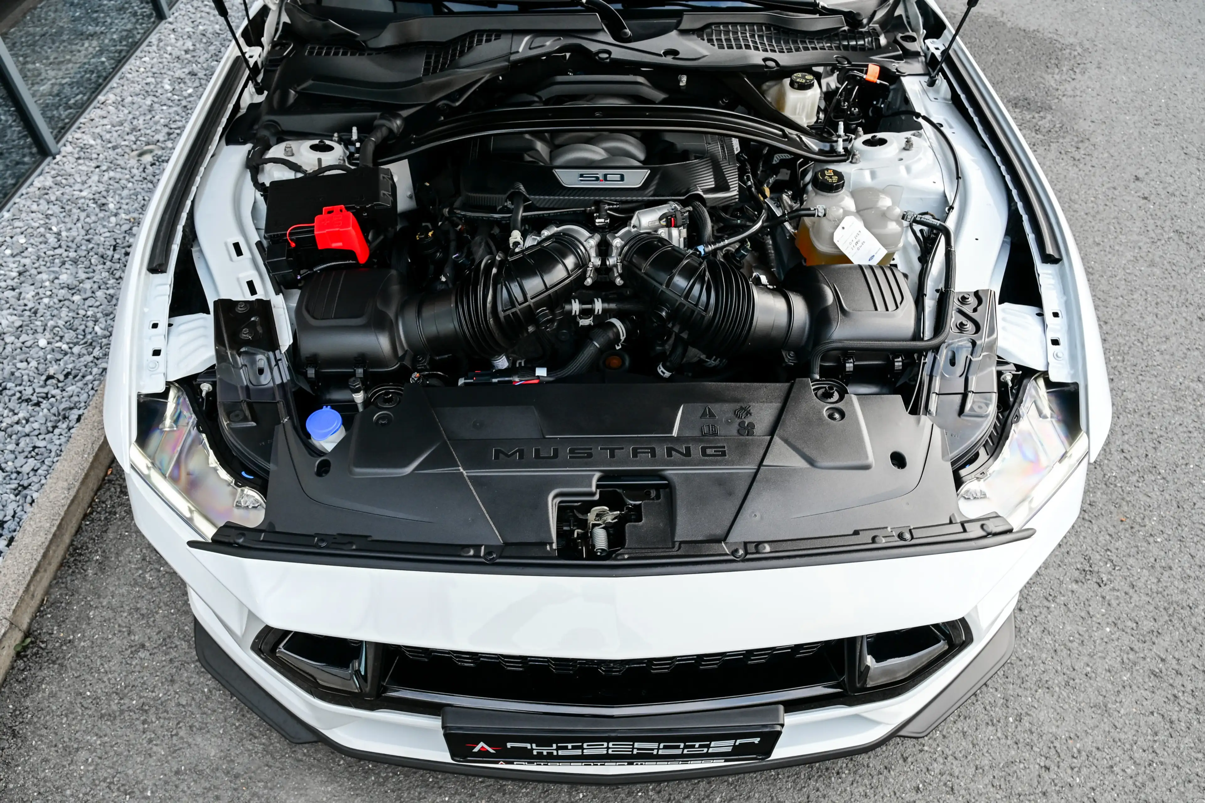 Ford Mustang 5.0 Ti-VCT V8 GT Aut *Nite Pony Styling* — photo 7