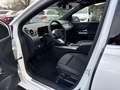 Mercedes-Benz B 180 d Österreich-Edition Cam PTS Navi AUT Wide Weiß - thumbnail 12
