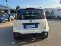 Fiat Panda 1.2 CONNECTED BY WIND CROSS 1PROP. E6D Bianco - thumbnail 5