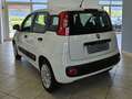 Fiat Panda Panda III 1.2 Easy 69cv E6 Blanc - thumbnail 6
