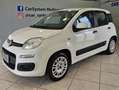 Fiat Panda Panda III 1.2 Easy 69cv E6 Blanc - thumbnail 5