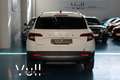 Skoda Karoq 2.0TDI AdBlue Ambition 4x4 DSG 110kW Blanco - thumbnail 6
