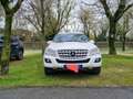 Mercedes-Benz ML 350 (320) cdi Sport auto FL White - thumbnail 3