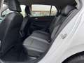 Volkswagen Golf Life GOAL 1,5 TSI ACT | NP: €37.900 Weiß - thumbnail 14