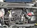 Ford Puma 1.0 EcoBoost 125ch mHEV ST-Line 6cv Gris - thumbnail 16
