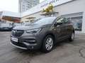 Opel Grandland X 1,5 Diesel Business Edition Start/Stopp Grau - thumbnail 3