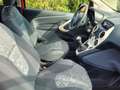 Ford Ka/Ka+ Trend Rot - thumbnail 3