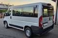 Fiat Ducato Panorama  2.3 mjt 9 posti Blanc - thumbnail 5