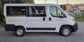 Fiat Ducato Panorama  2.3 mjt 9 posti Blanc - thumbnail 2