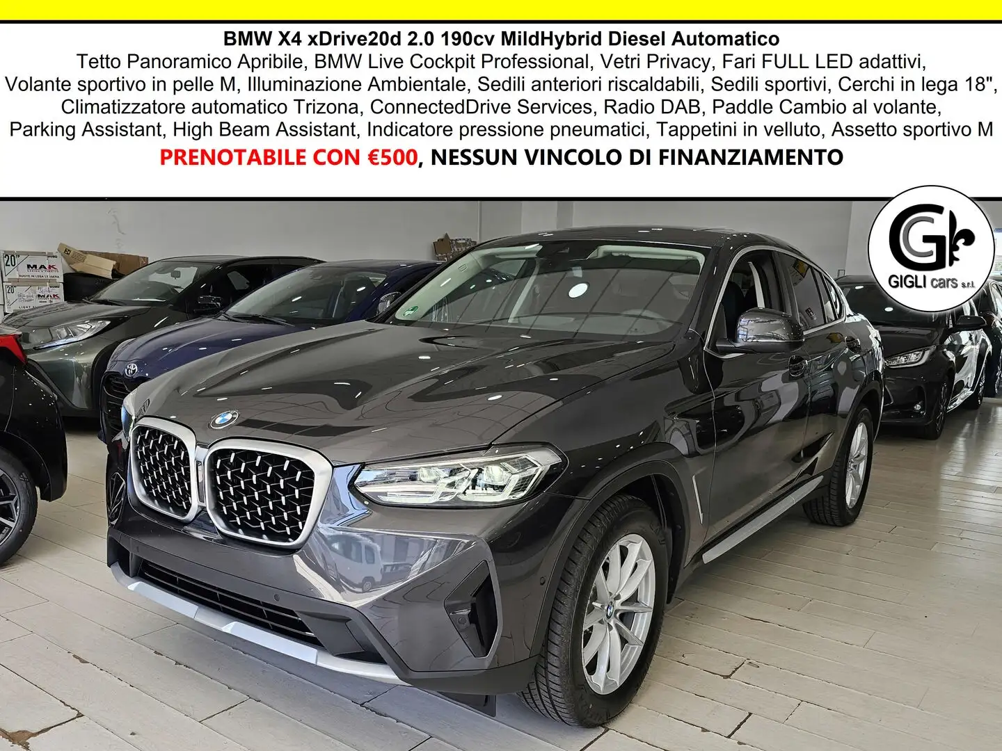 BMW X4 Xdrive 20d mhev Tetto cam Nav PDC Full LED Gris - 1