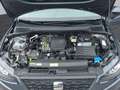 SEAT Ibiza Austria Edition Grau - thumbnail 6