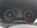 SEAT Ibiza Austria Edition Grau - thumbnail 12